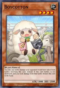 Boycotton (MP19-EN018)