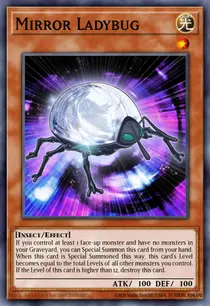 Mirror Ladybug (STBL-EN002)