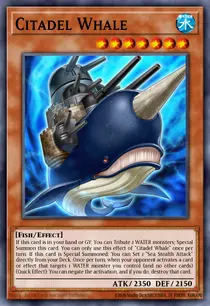 Citadel Whale (LEDU-EN016)