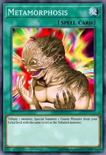 Metamorphosis (DR1-EN038)
