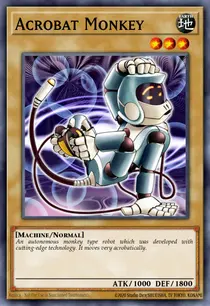 Acrobat Monkey (DR1-EN165)