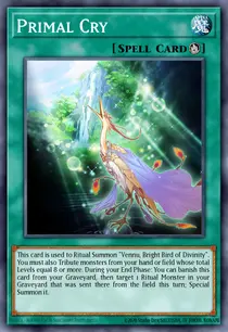 Primal Cry (MACR-EN098)