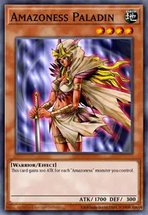 Amazoness Paladin (MFC-059)