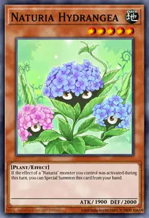 Naturia Hydrangea (DT03-EN072)