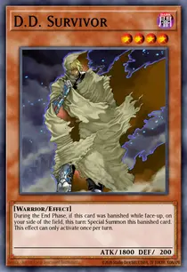 D.D. Survivor (DR3-EN203)