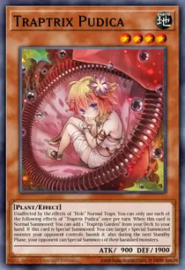Traptrix Pudica (SDBT-EN001)