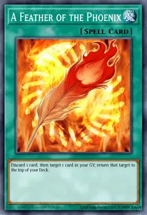 A Feather of the Phoenix (DR3-EN157)