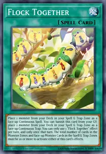 Flock Together (PHNI-EN072)