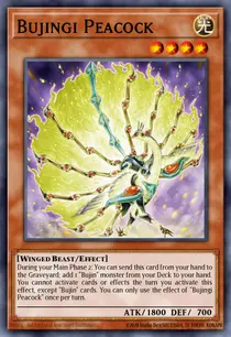 Bujingi Peacock (MP14-EN208)