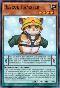 Rescue Hamster (PEVO-EN028)