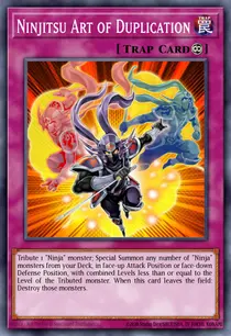 Ninjitsu Art of Duplication (ORCS-EN089)
