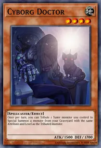 Cyborg Doctor (ANPR-EN032)
