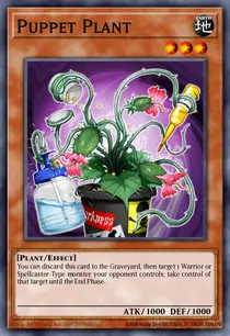 Puppet Plant (OP24-EN016)