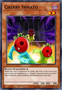 Cherry Inmato (TSHD-EN022)