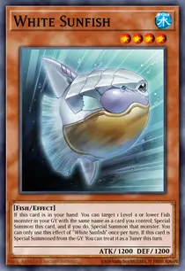 White Sunfish (MP25-EN304)