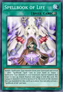 Spellbook of Life (REDU-EN059)