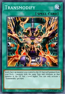Transmodify (MP14-EN106)