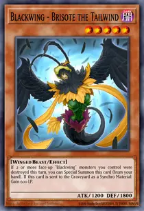 Blackwing - Brisote the Tailwind (STOR-EN008)