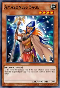 Amazoness Sage (DREV-EN030)