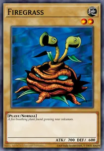 Carta Firegrass, LOB-EN018