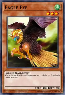 Eagle Eye (DR3-EN082)