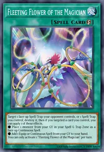 Fleeting Flower of the Magician (DOOD-EN089)