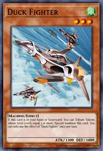 Duck Fighter (LTGY-EN099)