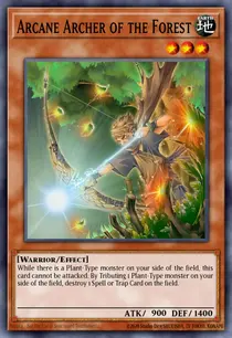Arcane Archer of the Forest (DR2-EN141)