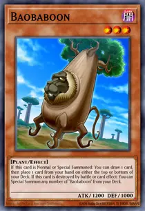 Baobaboon (MACR-EN034)