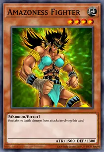 Amazoness Fighter (MFC-060)