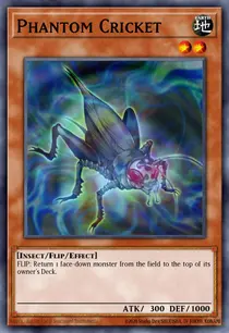 Phantom Cricket (TAEV-EN030)