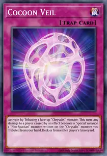 Cocoon Veil (TAEV-EN065)