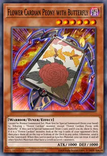 Flower Cardian Peony with Butterfly (INOV-EN014)