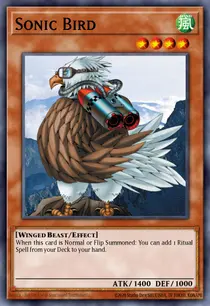 Sonic Bird (MRL-093)