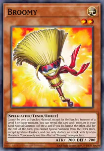 Broomy (INFO-EN029)