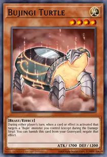 Bujingi Turtle (AP05-EN009)