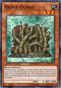 Hedge Guard (LC5D-EN089)