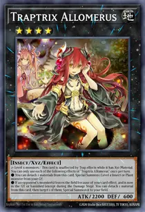 Traptrix Allomerus (SDBT-EN040)
