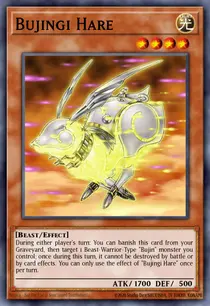 Bujingi Hare (MP14-EN211)