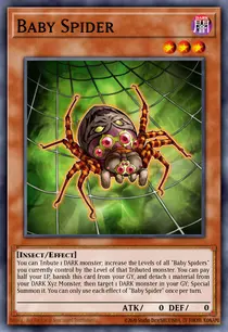 Baby Spider (BLMR-EN045)