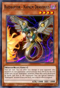 Raidraptor - Napalm Dragonius (DLCS-EN100)