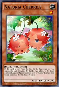Naturia Cherries (HAC1-EN116)