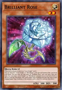 Brilliant Rose (MP23-EN124)