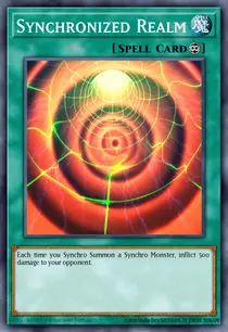 Synchronized Realm (5DS1-EN022)