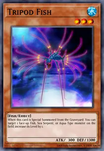 Tripod Fish (ABYR-EN006)