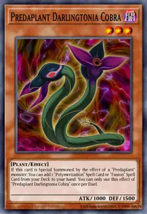 Predaplant Darlingtonia Cobra (MACR-EN010)