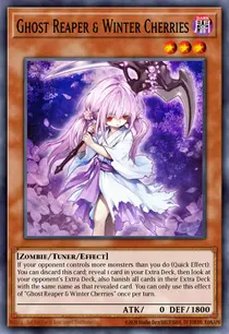 Ghost Reaper & Winter Cherries (DUDE-EN002)