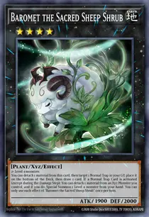 Baromet the Sacred Sheep Shrub (CYAC-EN097)
