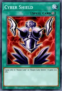 Cyber Shield (STOR-EN090)