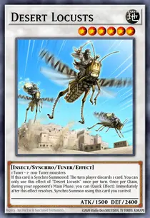 Desert Locusts (CHIM-EN082)